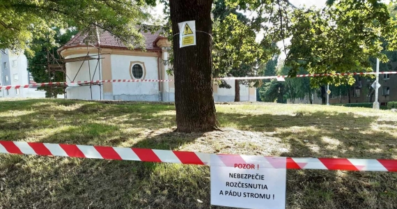 Ohrozujúci strom pri kaplnke na “smrtke”